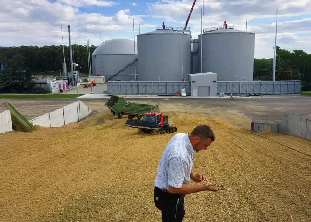 Prozessbiologie & Betriebsberatung